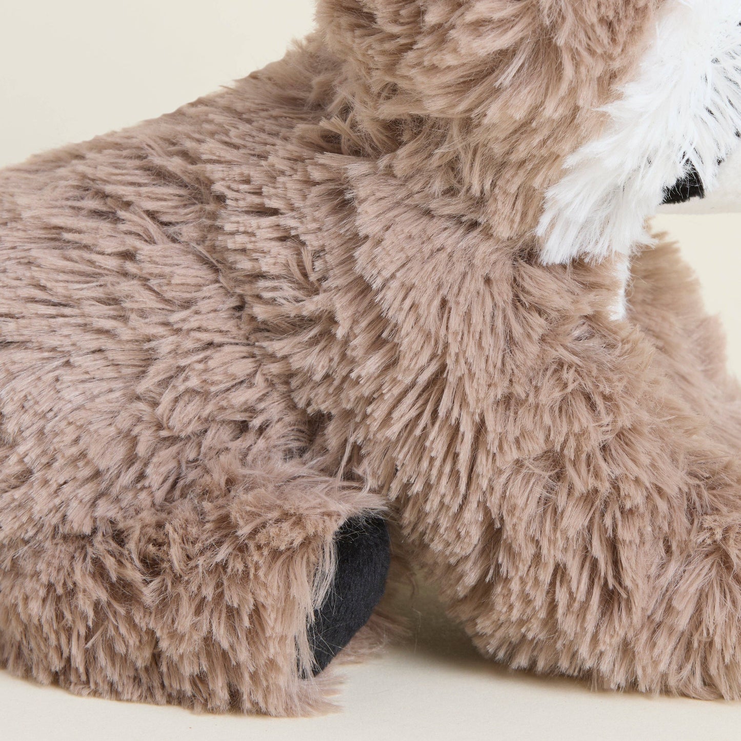 Raccoon Warmies - Junior