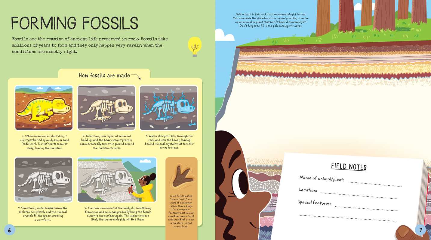 Paleontology Activity Book