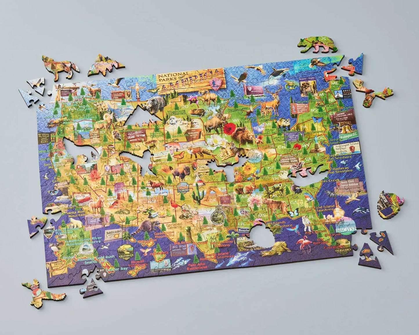 National Parks Map - 250 Piece Puzzle