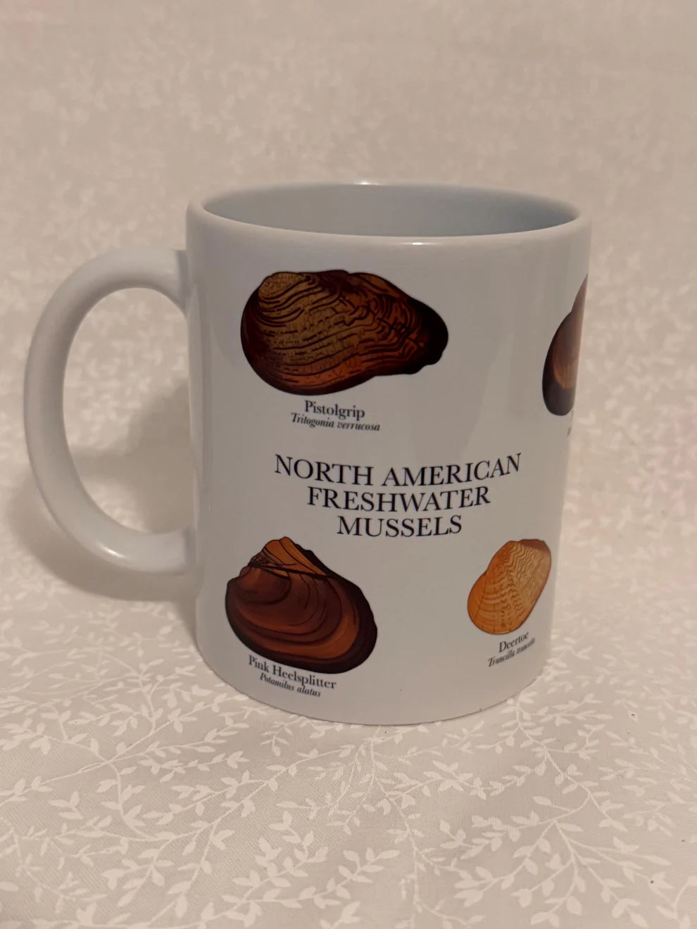Freshwater Mussel Mug