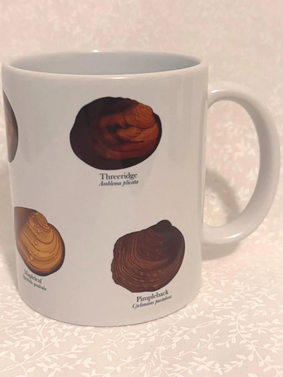 Freshwater Mussel Mug