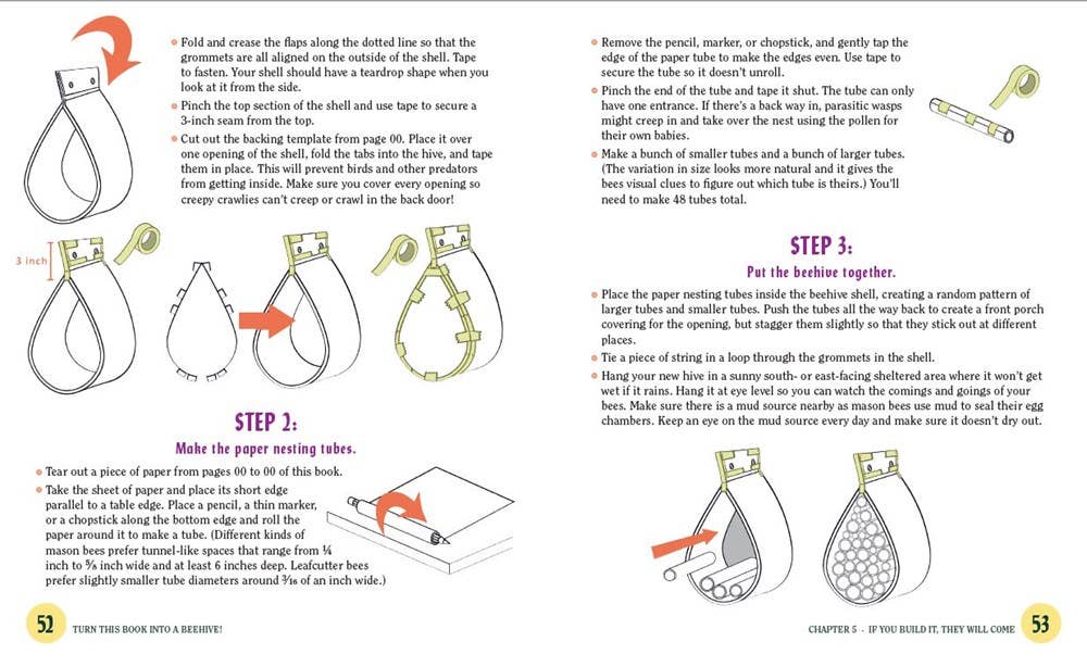 Turn This Book Into a Beehive!