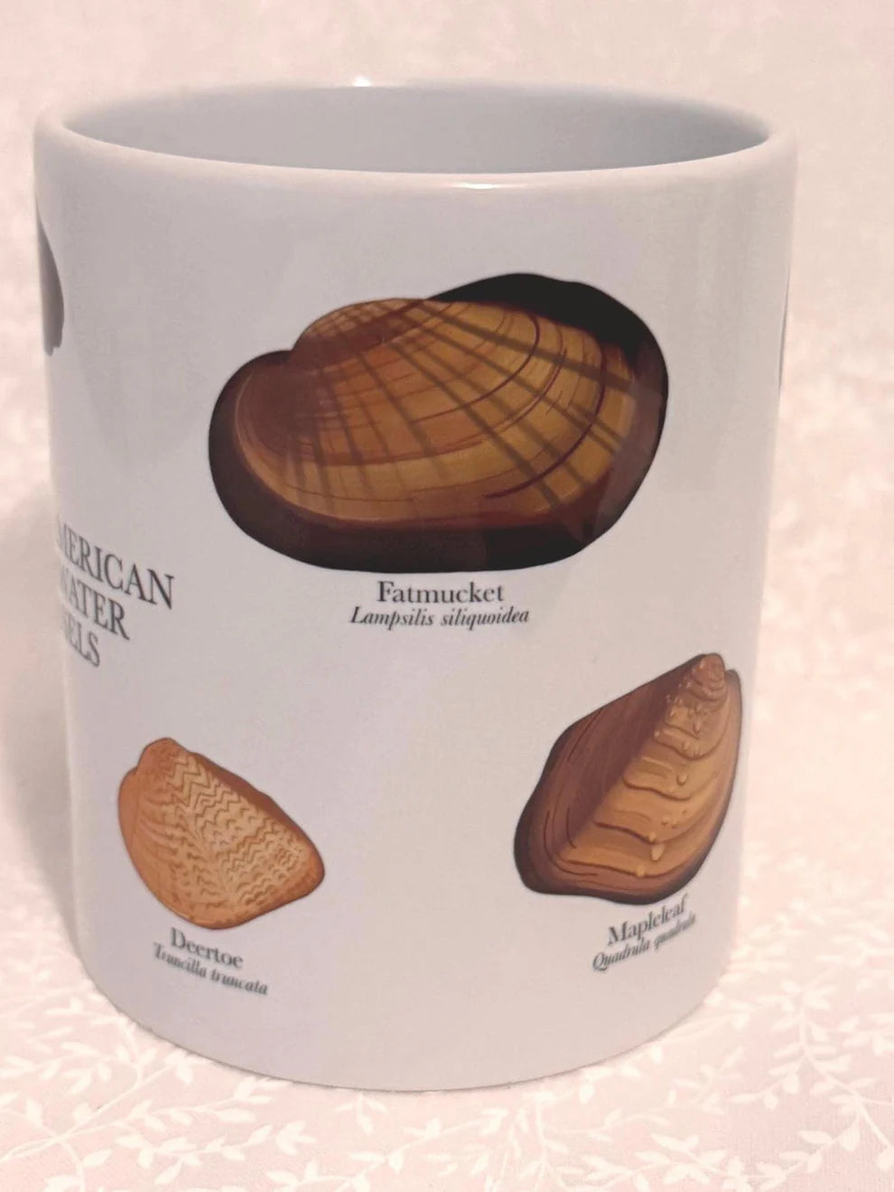 Freshwater Mussel Mug