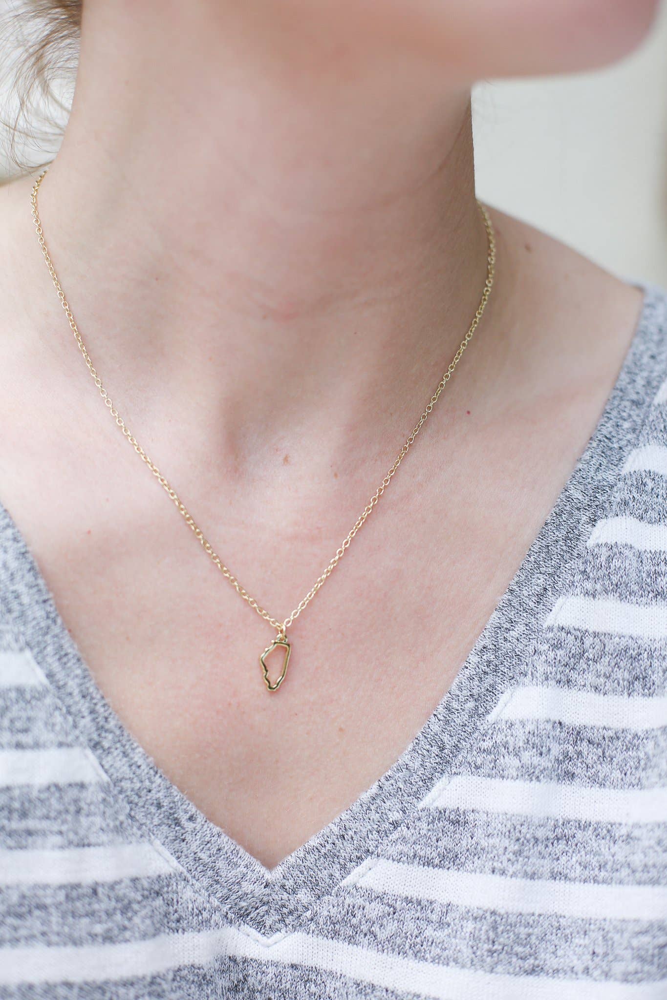 Illinois State Silhouette Necklace