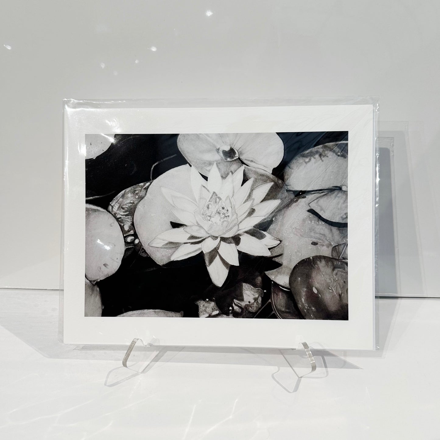 “Dark Waters” by Michelle Smith