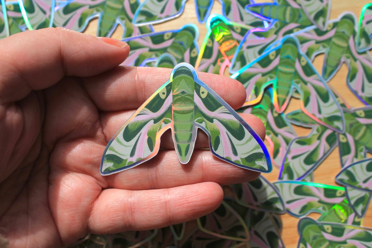 Pandora Sphinx Moth Sticker