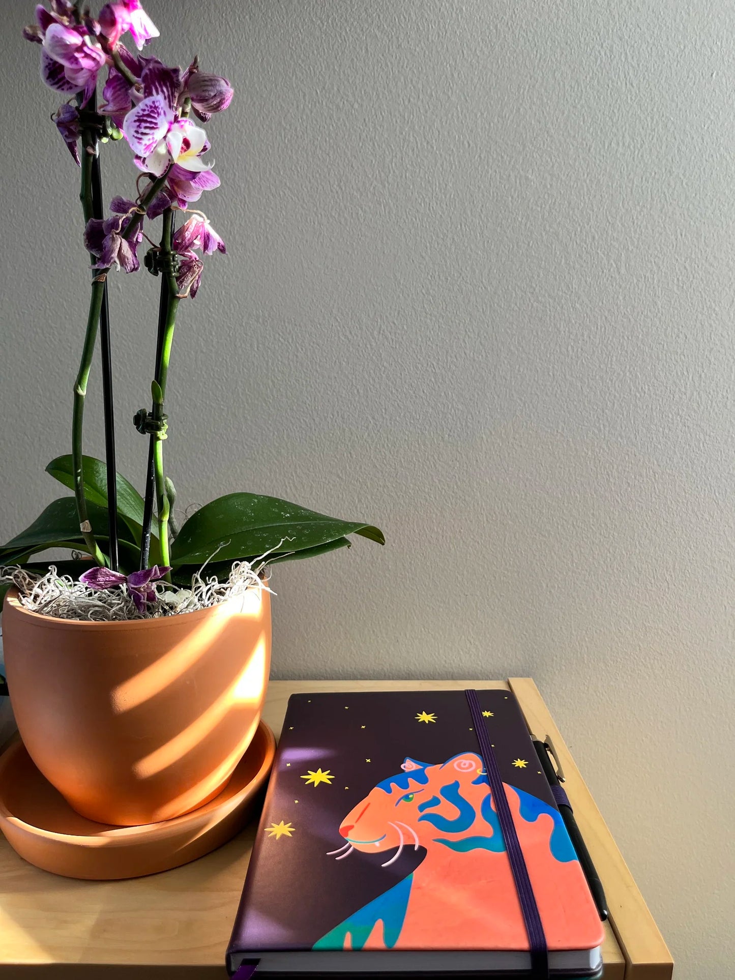 Tiger Journal