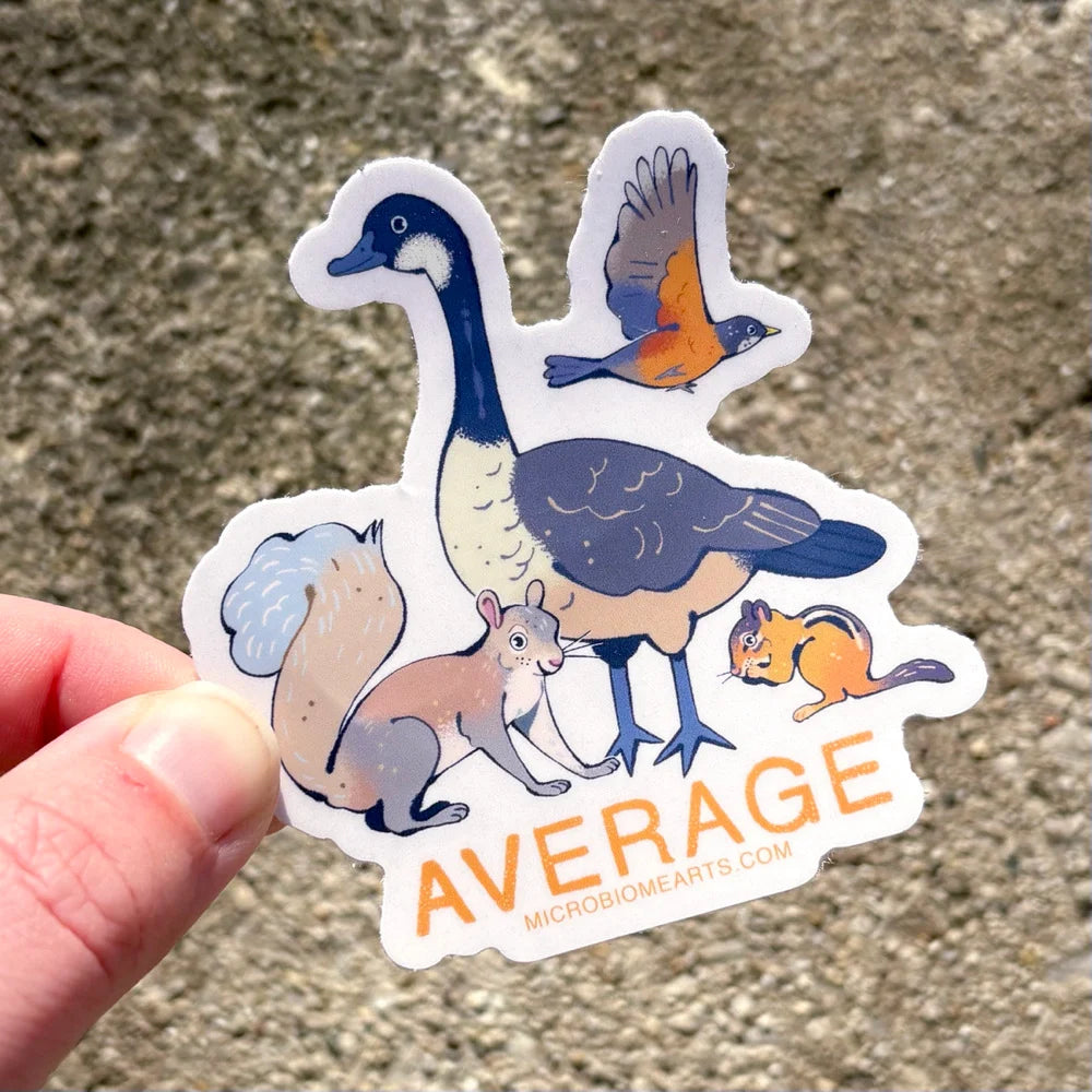 Average Animals Vinyl Sticker