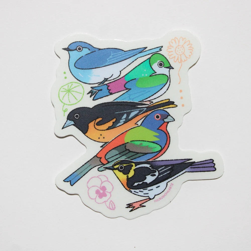 Colorful Birds Sticker