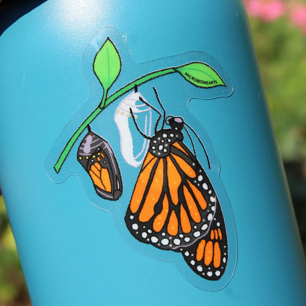 Emerging Monarch Sticker