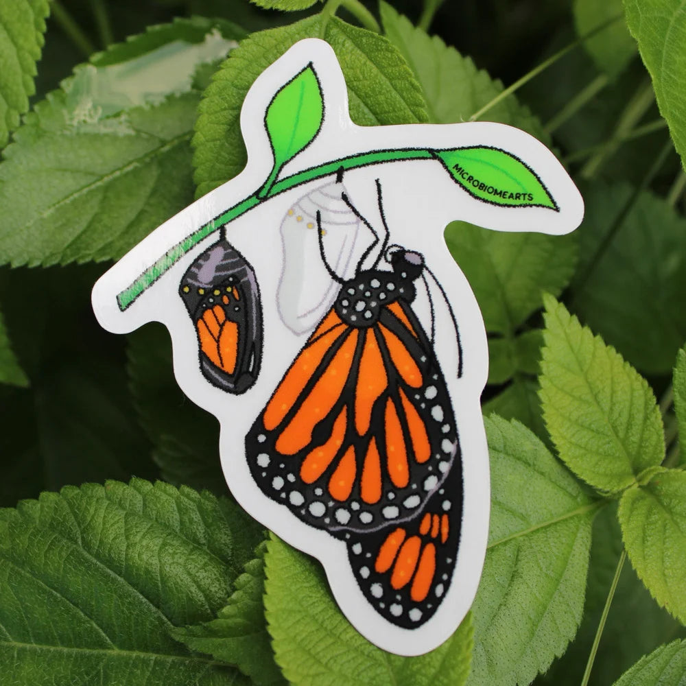 Emerging Monarch Sticker