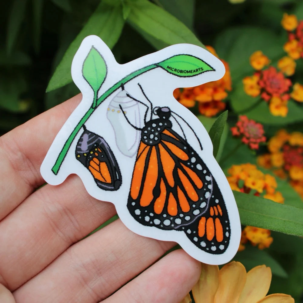 Emerging Monarch Sticker