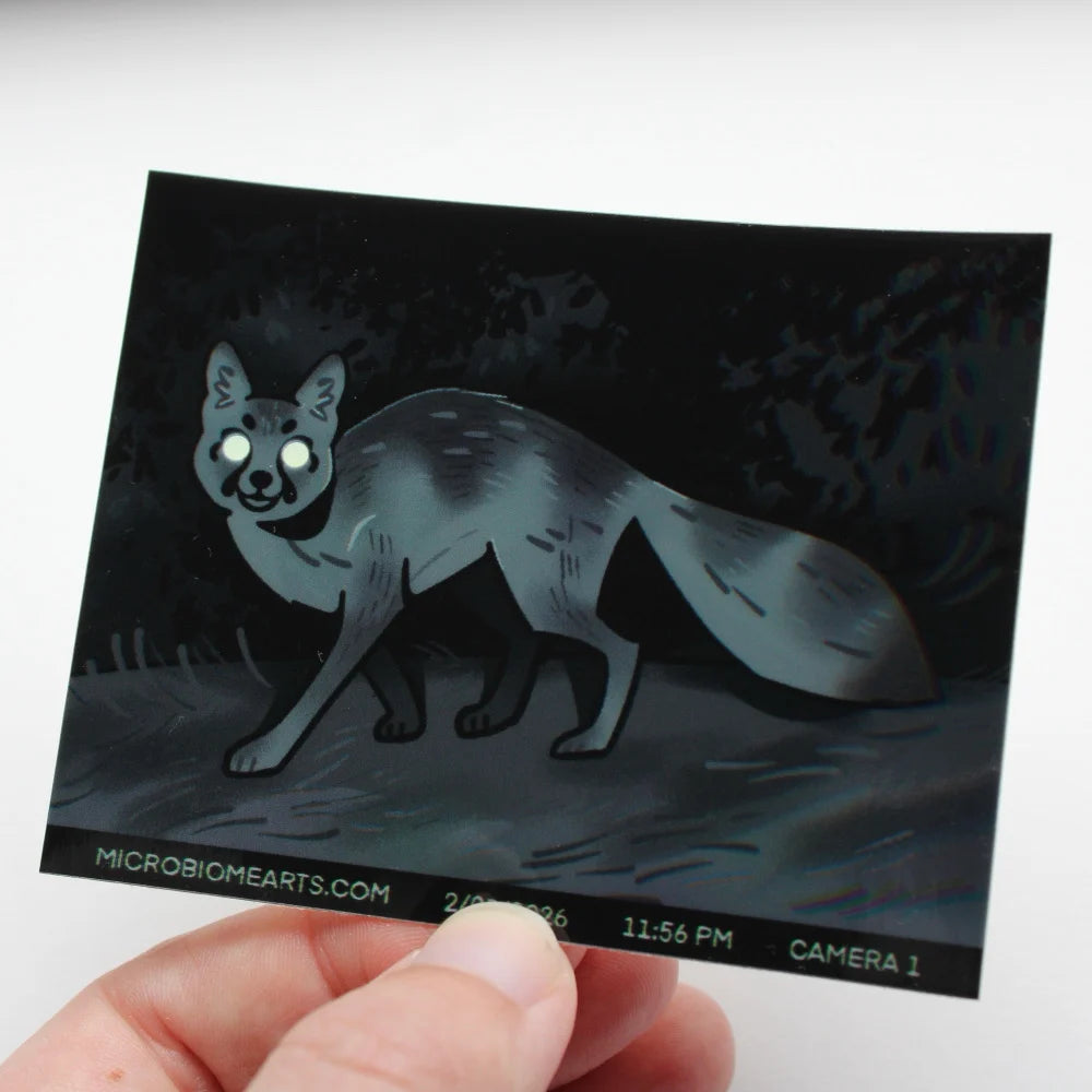 Trail Cam Fox Sticker