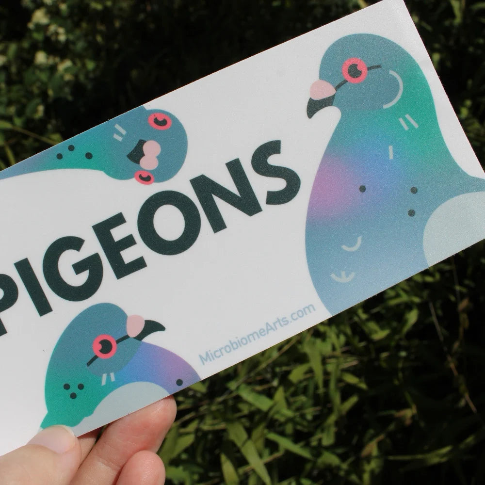 "I Love Pigeons" Bumper Sticker