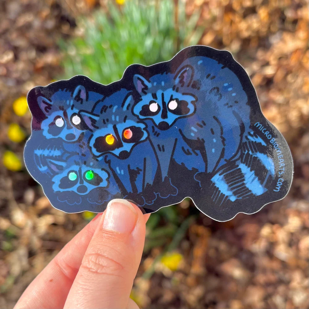 Raccoon Holo Sticker