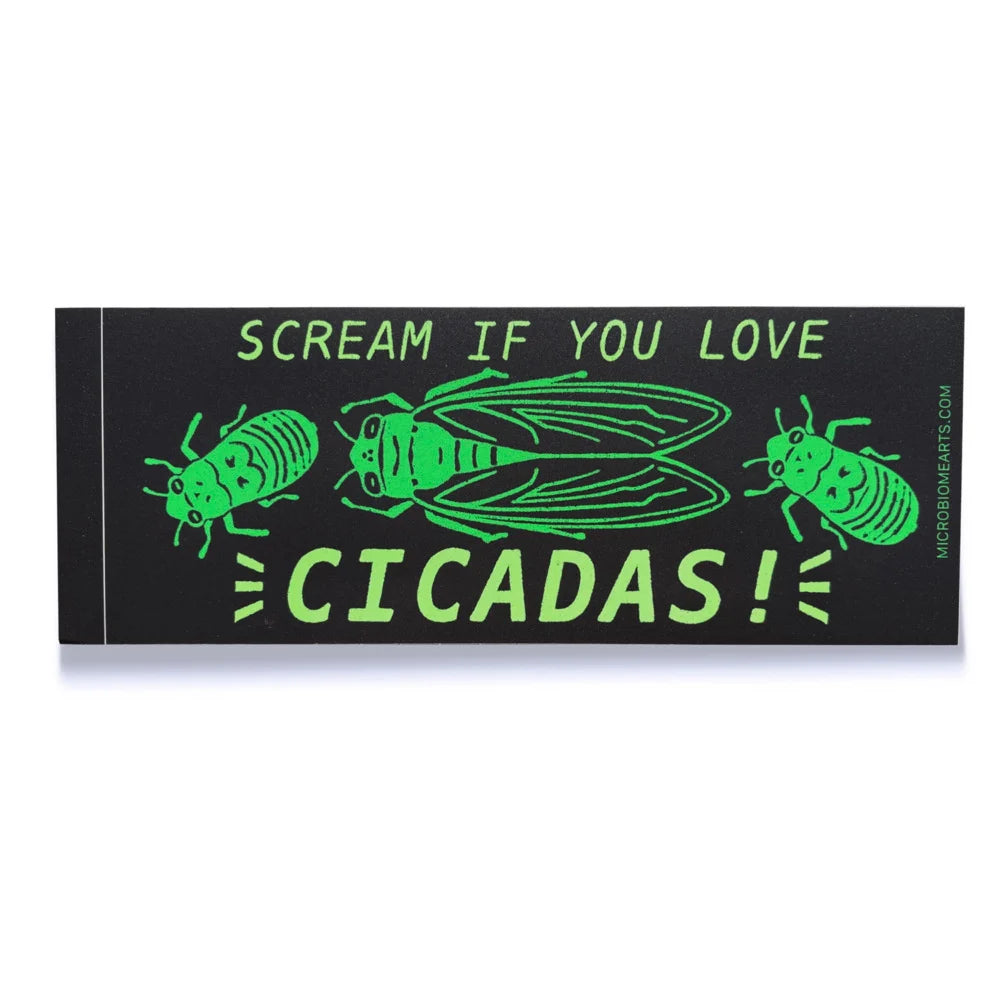Cicada Bumper Sticker