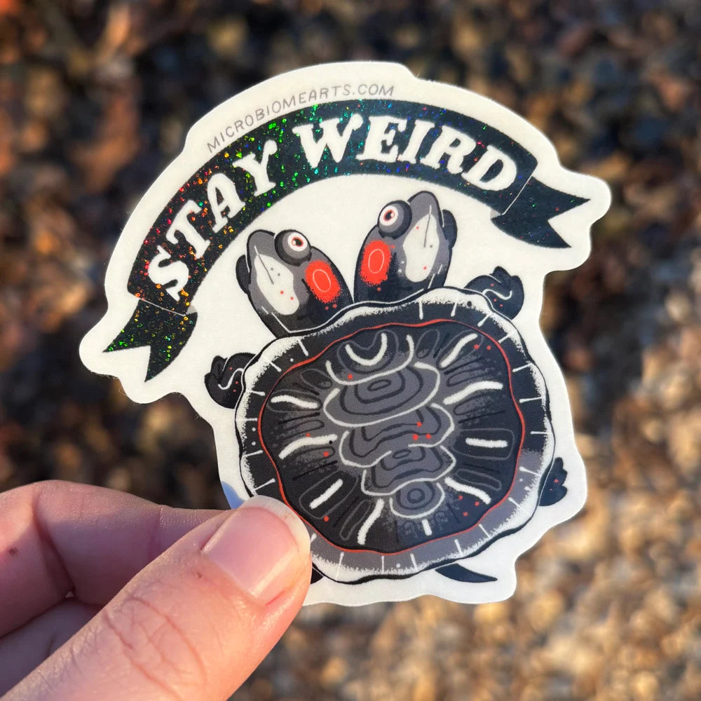 Stay Weird Holo Sticker