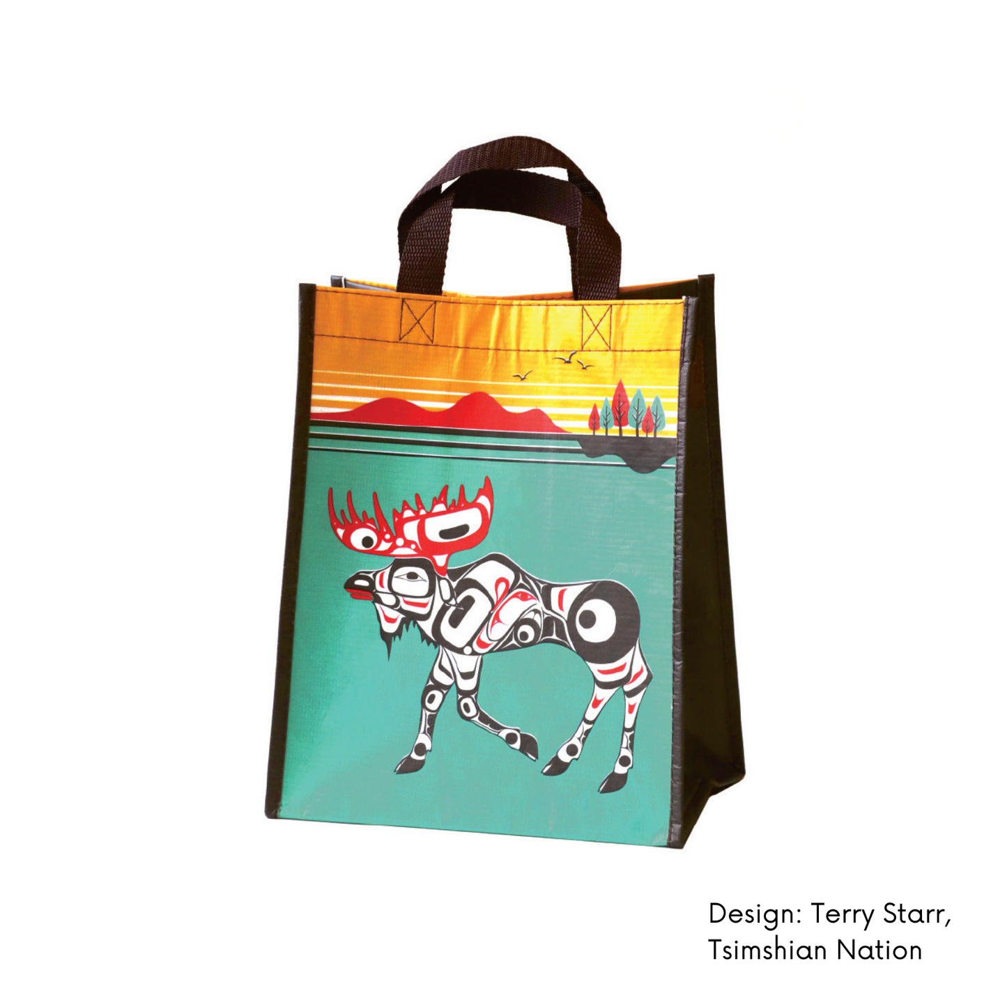 Recycled Plastic Bottles Bags w/ Contemporary Indigenous Art