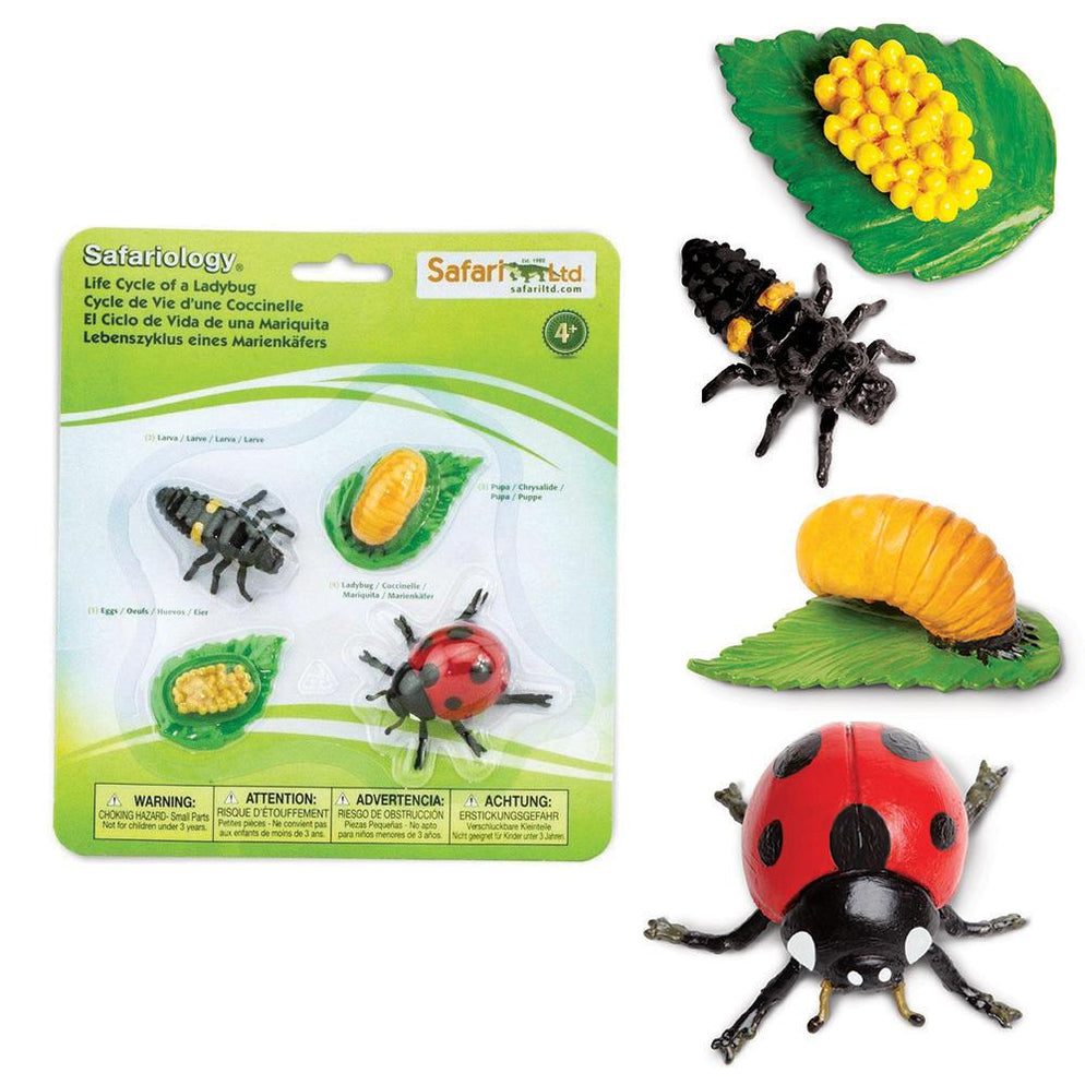 Image of “Life Cycle of a Ladybug” in its retail packaging, next to the figures included in the set.