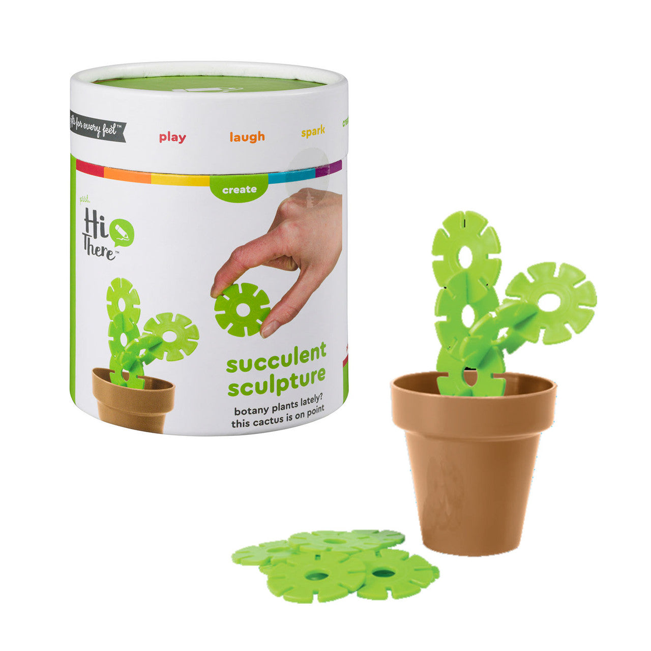 Image of the Succulent Sculpture, next to its container packaging, on a white background.