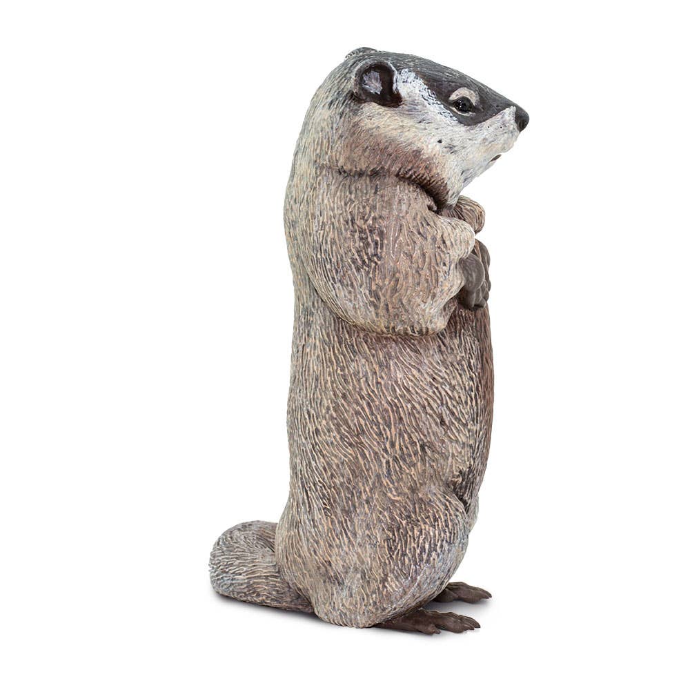 Groundhog Figure