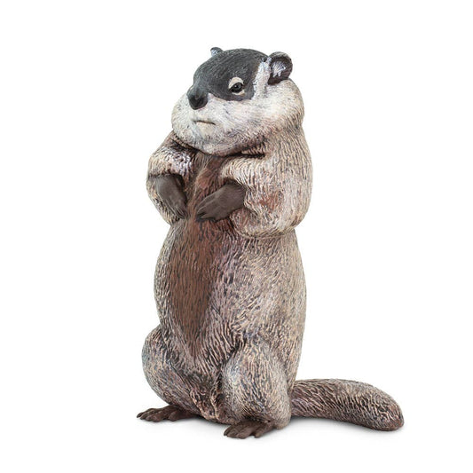Groundhog Figure
