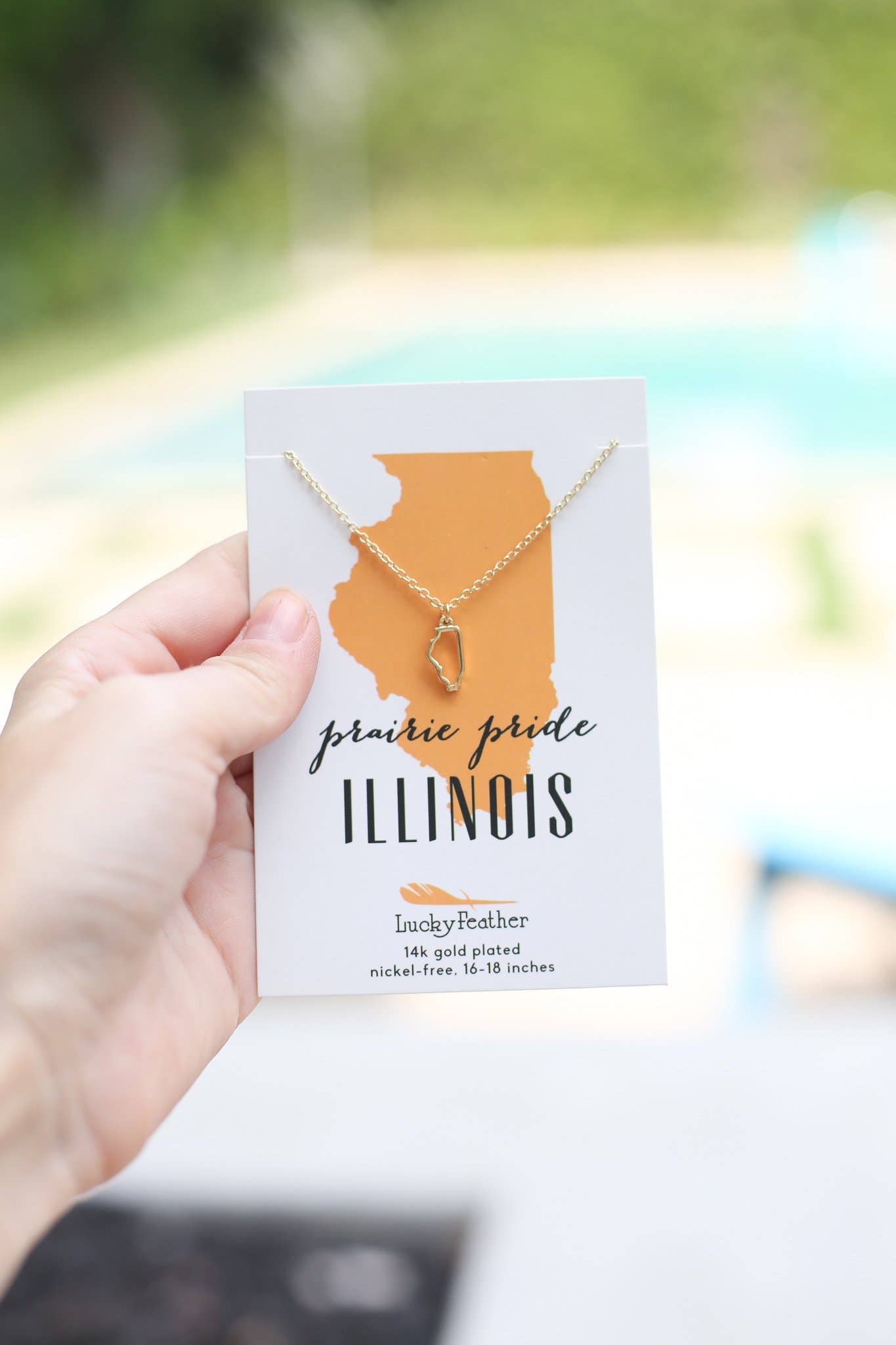 Illinois State Silhouette Necklace