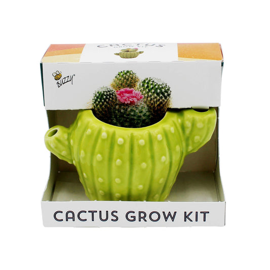 Terracotta Cactus Grow Kit