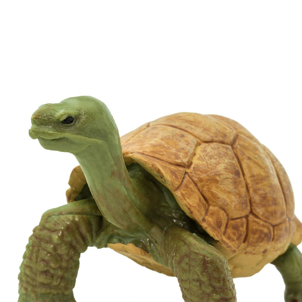 Giant Tortoise Figure
