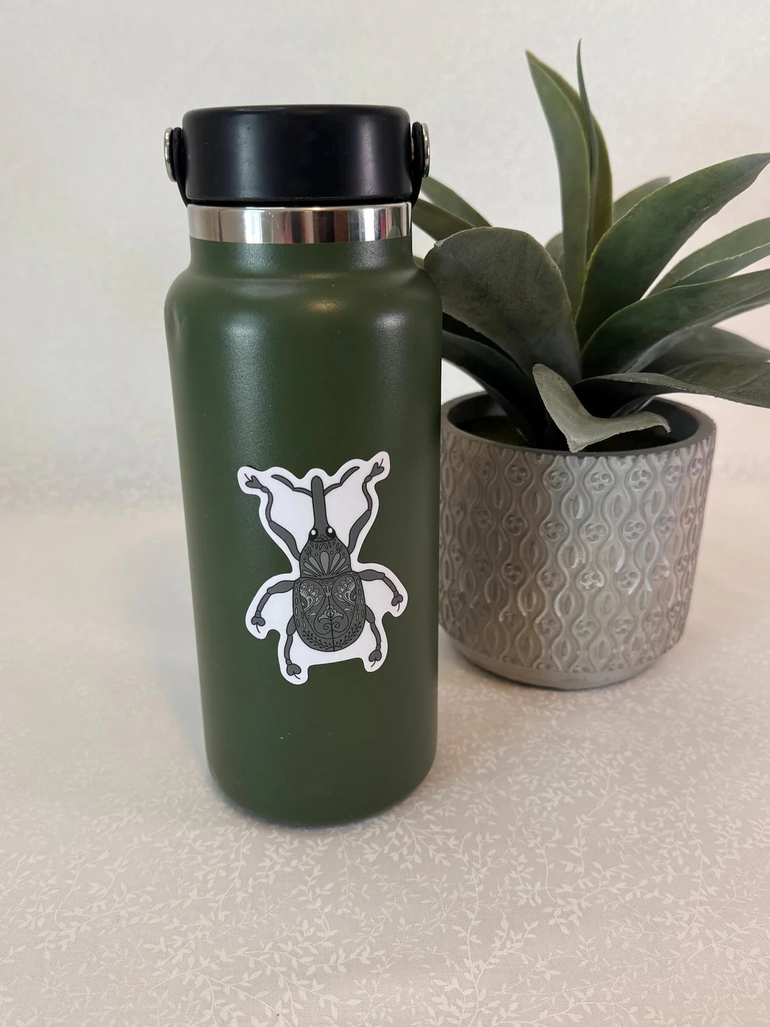 Green water bottle with a decorative weevil sticker on it next to a potted plant on a light surface.