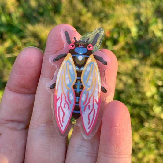 Periodical Cicada Acrylic Pin