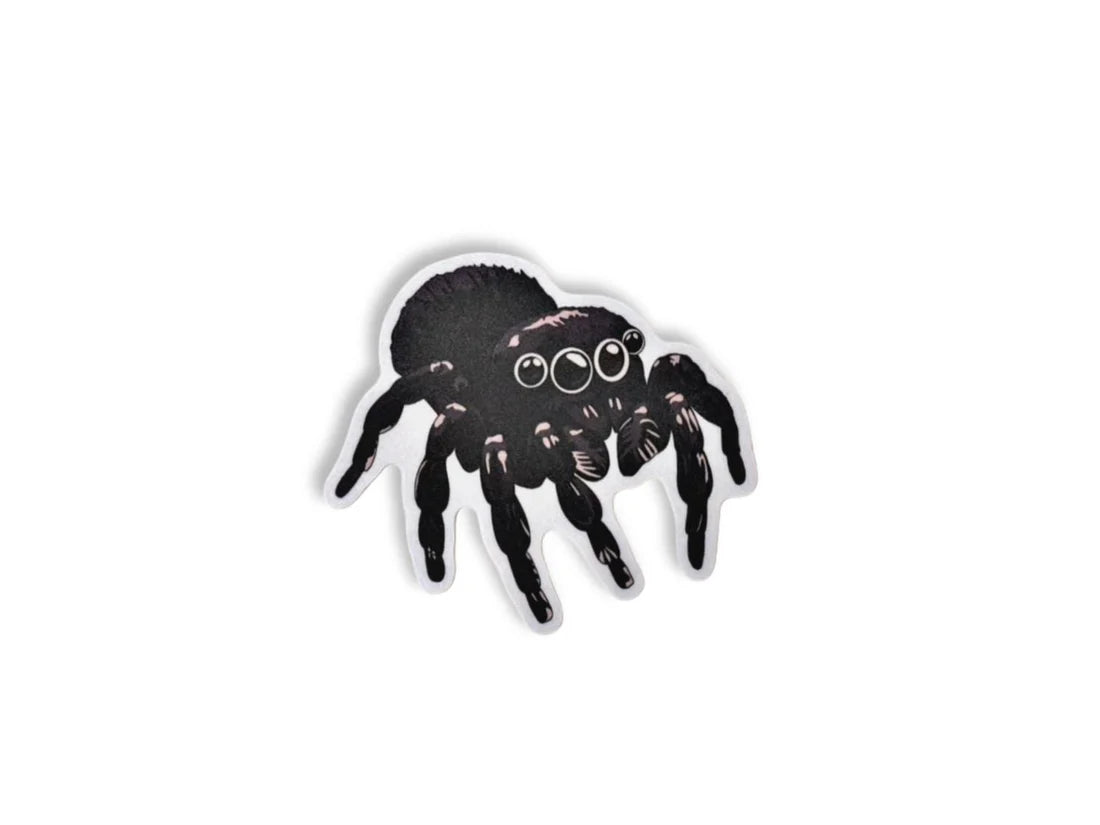 Black spider sticker on a white background.