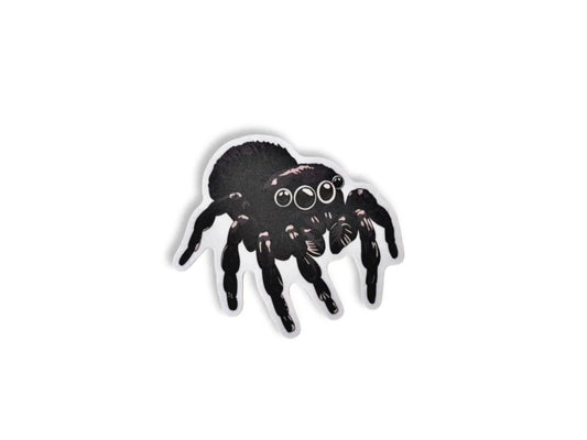 Black spider sticker on a white background.