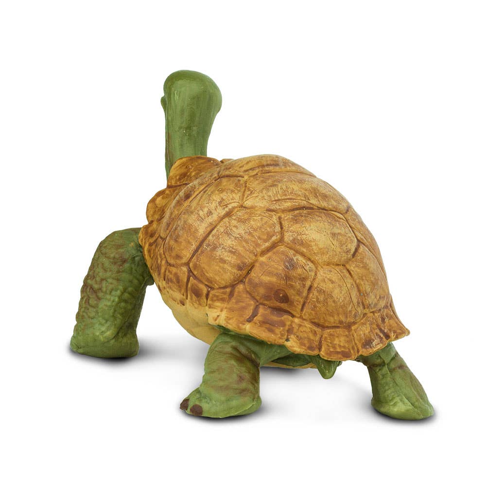 Giant Tortoise Figure