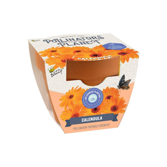 Pollinator Terracotta - Calendula Grow Kit