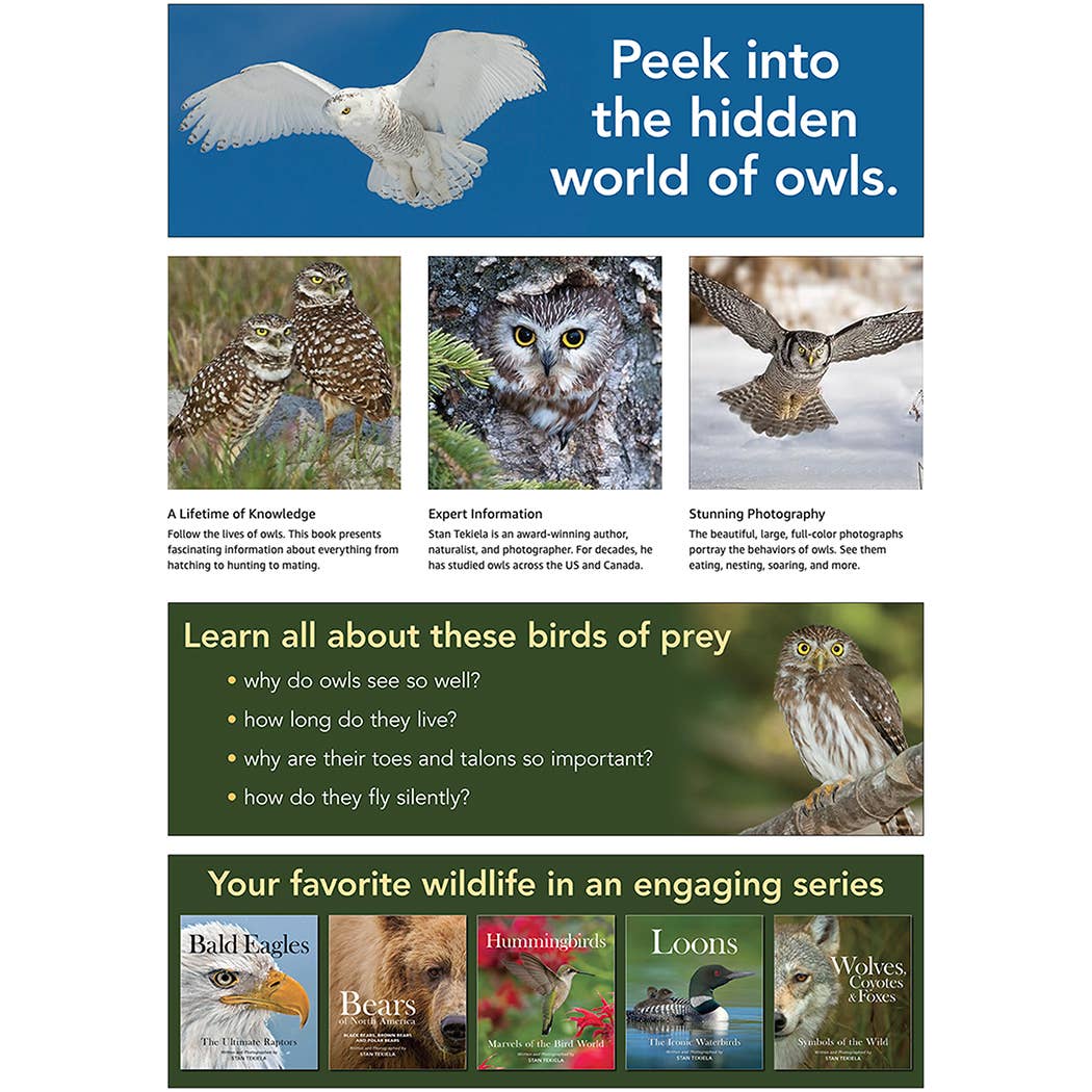 Owls: the Majestic Hunters