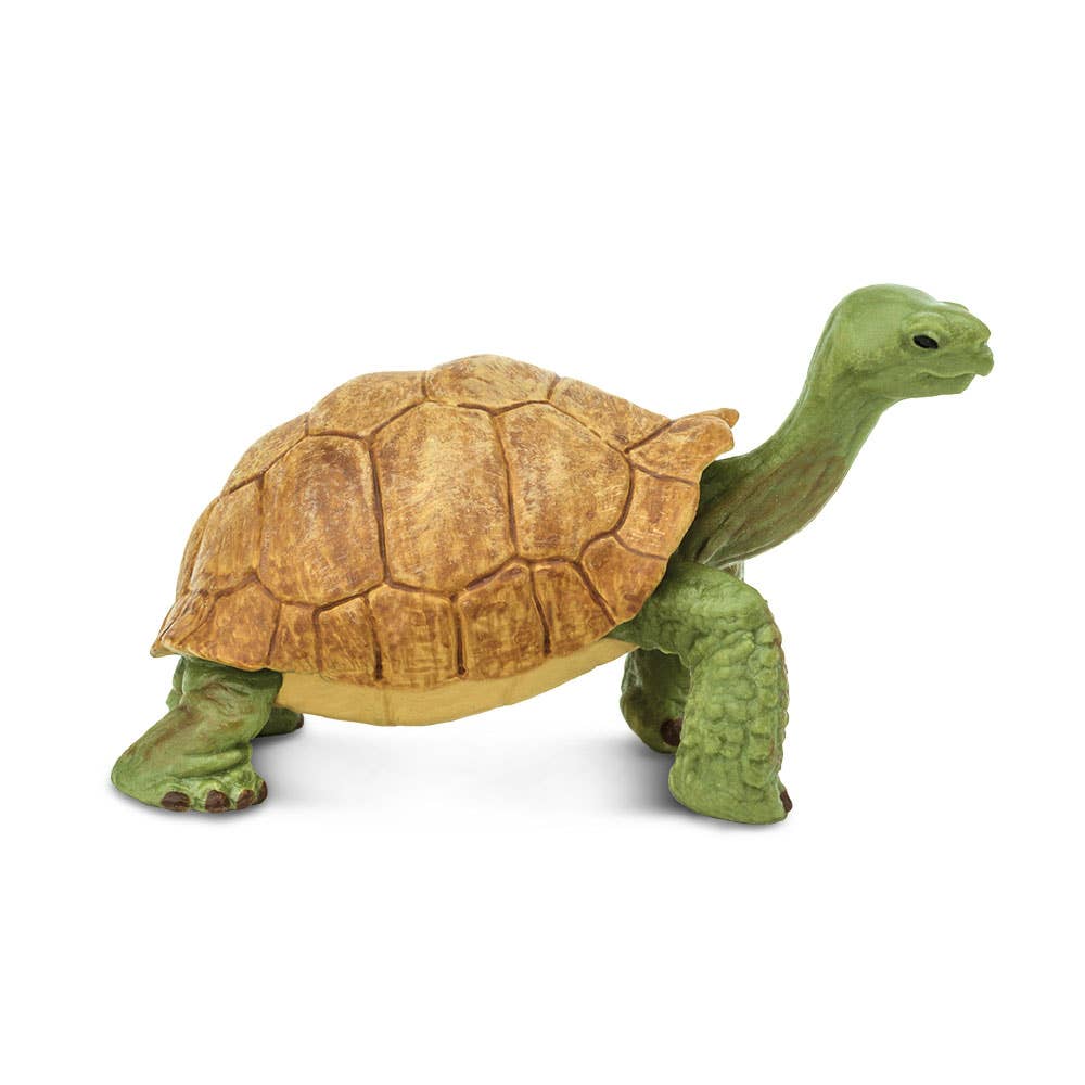 Giant Tortoise Figure