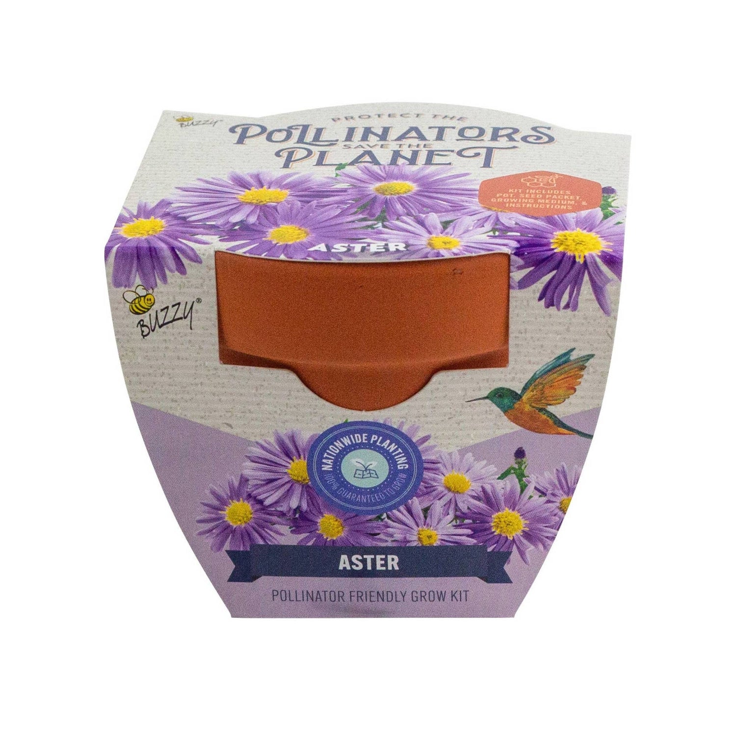 Front of Aster pollinator friendly grow kit with a brow pot.