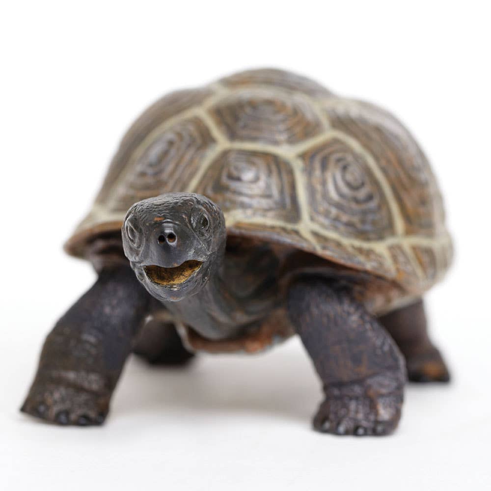 Tortoise Baby Figure