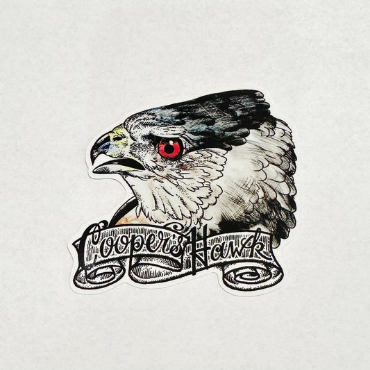 Cooper's Hawk Sticker