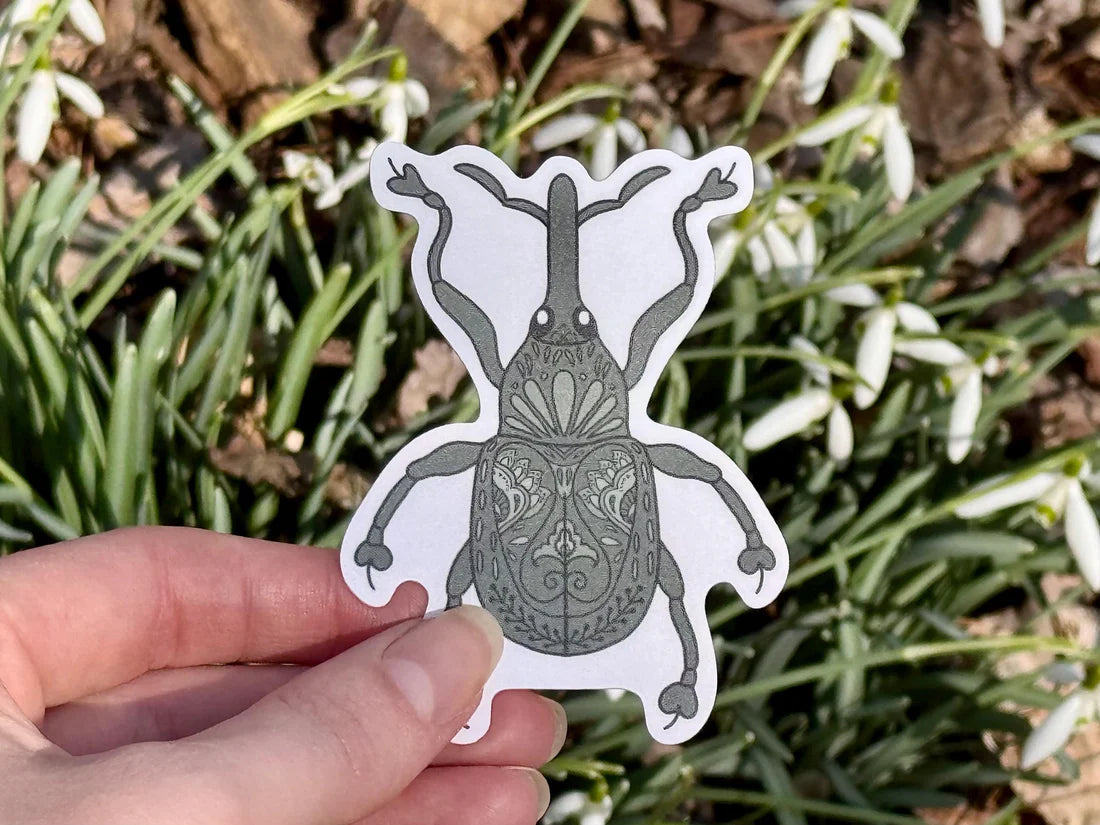 Hand holding a detailed weevil sticker in front of blurred nature background.