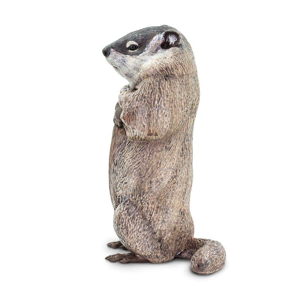 Groundhog Figure