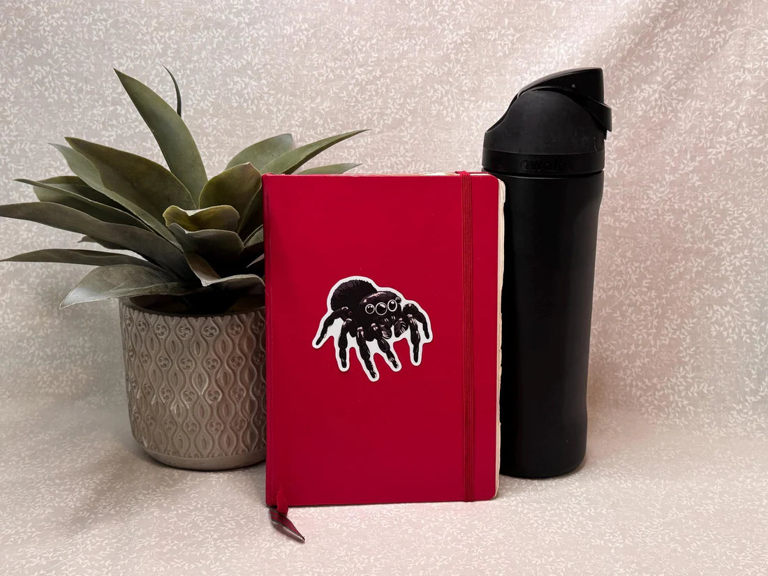 Black spider sticker on a red notebook with a potted plant on the left and a black water bottle on the right. On a light background.