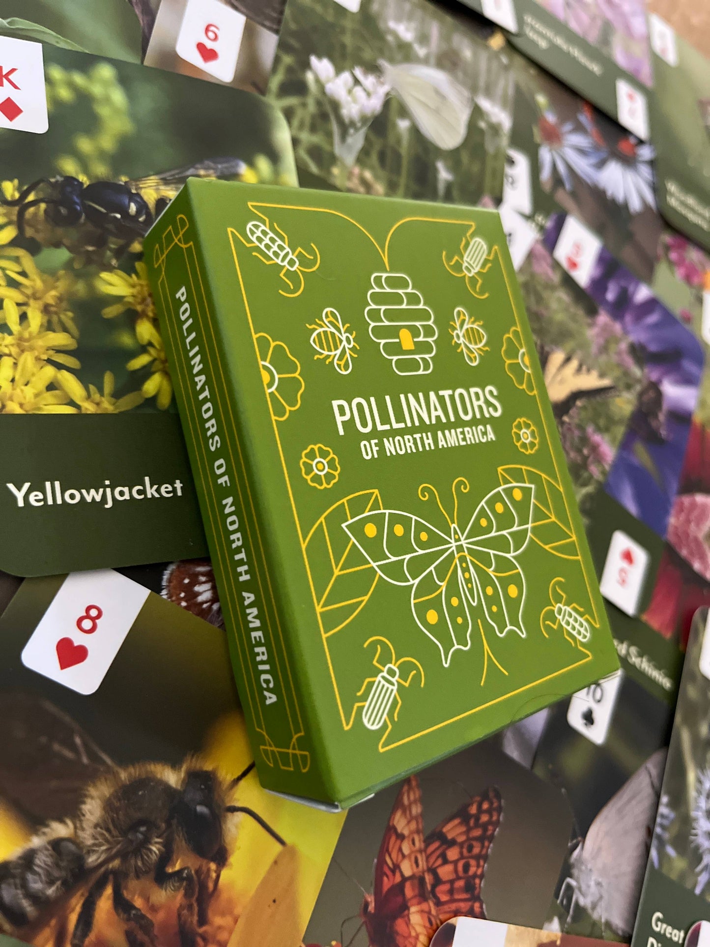 Pollinators of North America - Card Deck