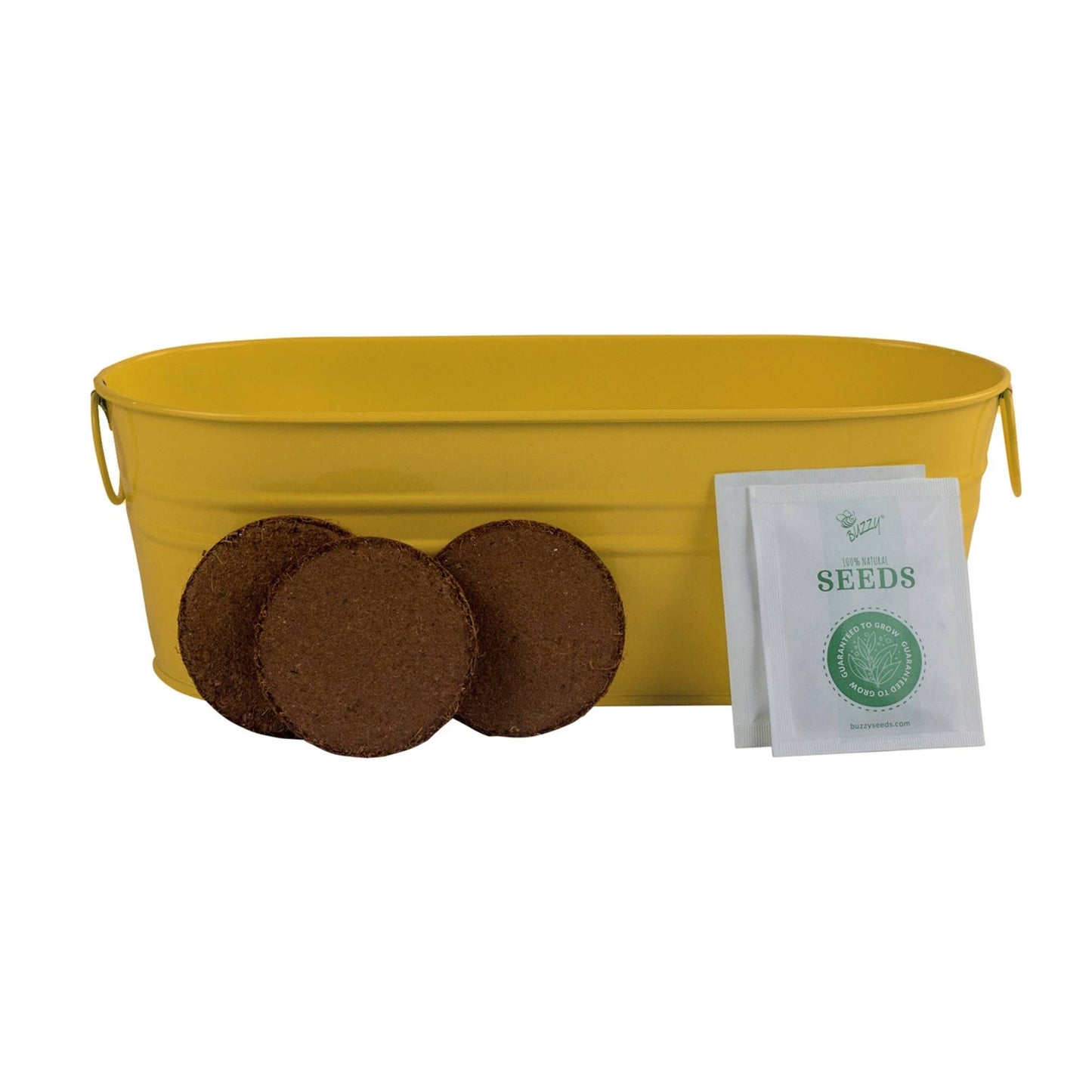 Pollinator Windowsill - Coneflower & Black-Eyed Susan Vine