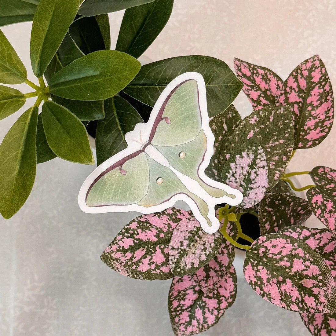 Luna moth sticker on a leafy background.