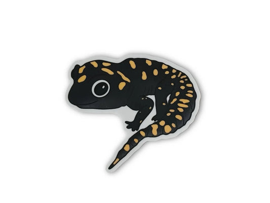 Spotted Salamander Sticker