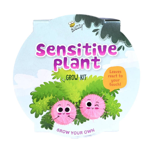 Mini Basin Sensitive Plant Grow Kit