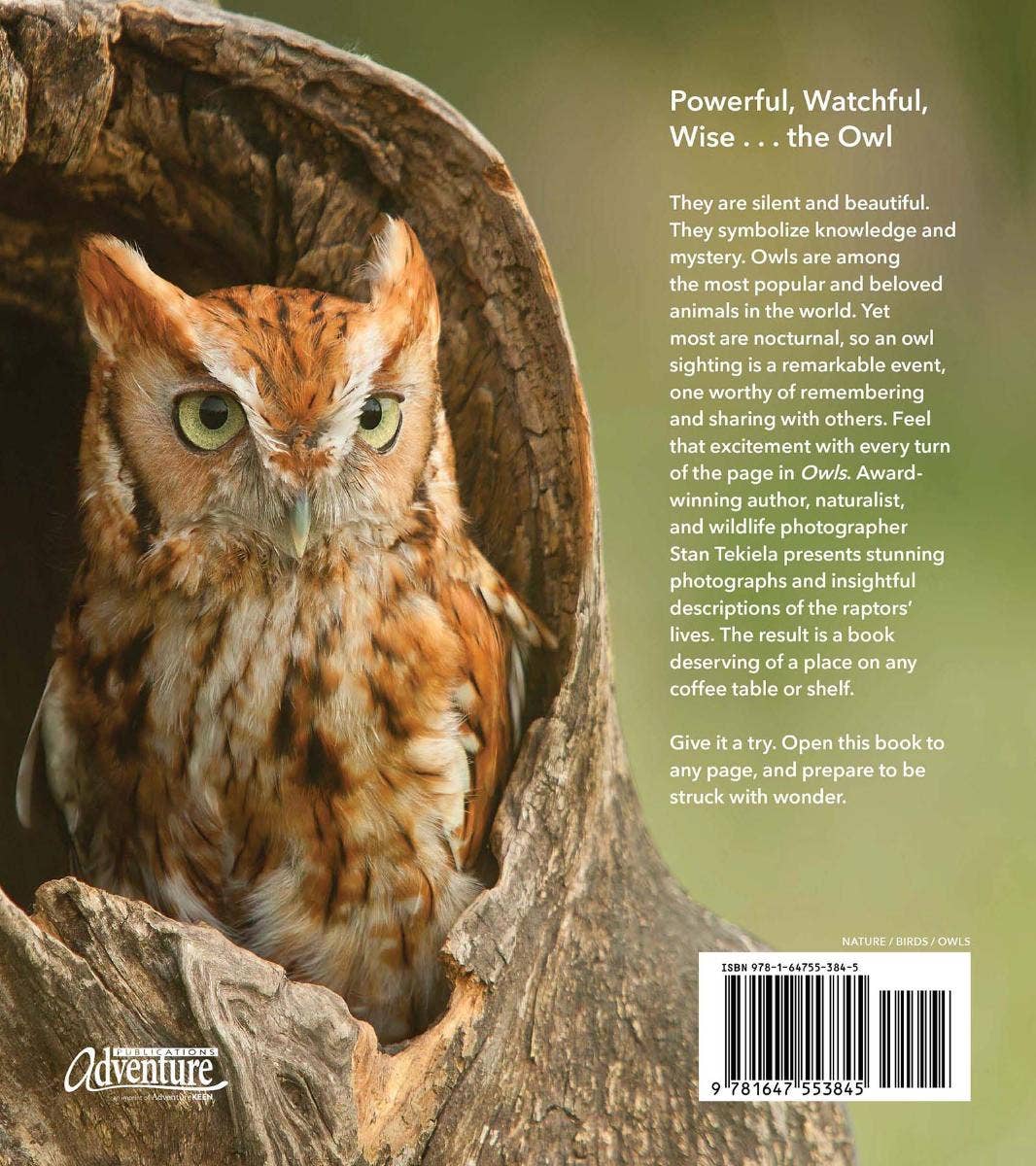 Owls: the Majestic Hunters