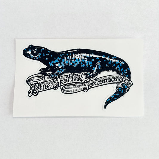 Blue-Spotted Salamander Sticker